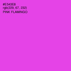 #E543E8 - Pink Flamingo Color Image