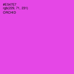 #E547E7 - Orchid Color Image