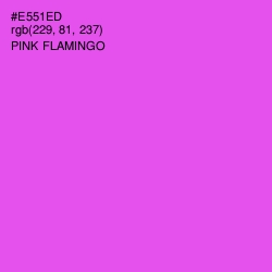 #E551ED - Pink Flamingo Color Image