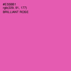 #E55BB1 - Brilliant Rose Color Image