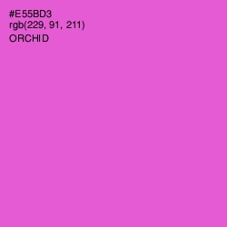 #E55BD3 - Orchid Color Image