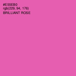 #E55EB0 - Brilliant Rose Color Image