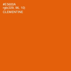 #E5600A - Clementine Color Image