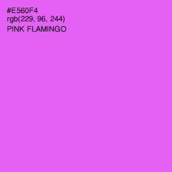 #E560F4 - Pink Flamingo Color Image