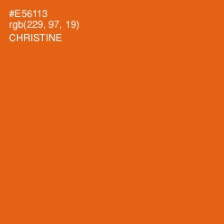 #E56113 - Christine Color Image