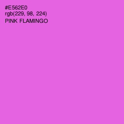 #E562E0 - Pink Flamingo Color Image