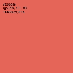 #E56558 - Terracotta Color Image