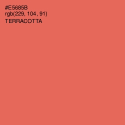 #E5685B - Terracotta Color Image