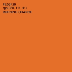 #E56F29 - Burning Orange Color Image
