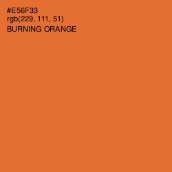 #E56F33 - Burning Orange Color Image