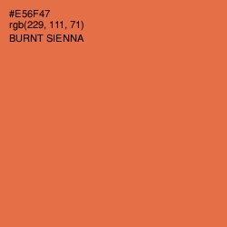 #E56F47 - Burnt Sienna Color Image