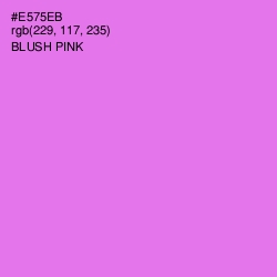 #E575EB - Blush Pink Color Image