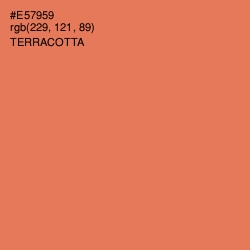 #E57959 - Terracotta Color Image
