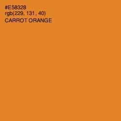 #E58328 - Carrot Orange Color Image