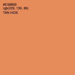 #E58B59 - Tan Hide Color Image