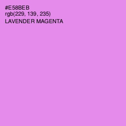 #E58BEB - Lavender Magenta Color Image