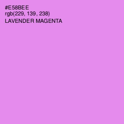 #E58BEE - Lavender Magenta Color Image