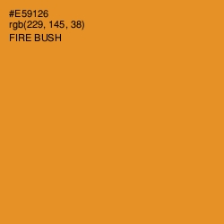 #E59126 - Fire Bush Color Image