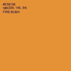 #E59136 - Fire Bush Color Image