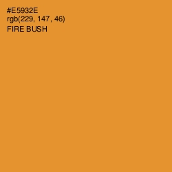 #E5932E - Fire Bush Color Image