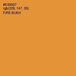 #E59337 - Fire Bush Color Image