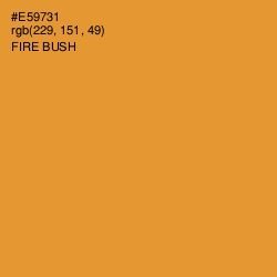 #E59731 - Fire Bush Color Image