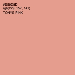 #E59D8D - Tonys Pink Color Image