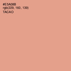 #E5A08B - Tacao Color Image