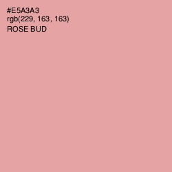 #E5A3A3 - Rose Bud Color Image