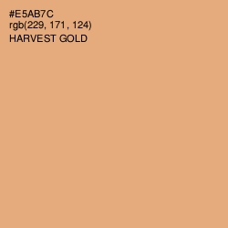 #E5AB7C - Harvest Gold Color Image