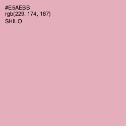 #E5AEBB - Shilo Color Image