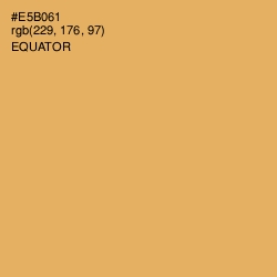 #E5B061 - Equator Color Image