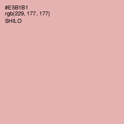 #E5B1B1 - Shilo Color Image