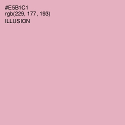 #E5B1C1 - Illusion Color Image