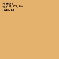 #E5B26E - Equator Color Image