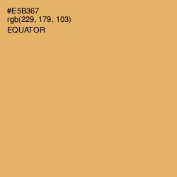 #E5B367 - Equator Color Image