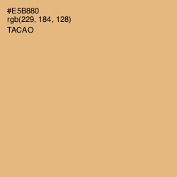 #E5B880 - Tacao Color Image