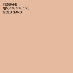 #E5BA9E - Gold Sand Color Image