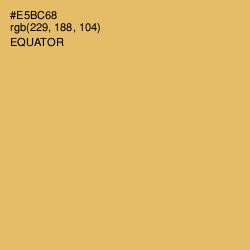 #E5BC68 - Equator Color Image