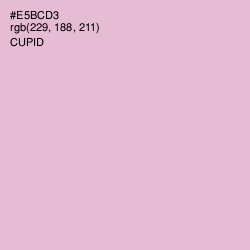 #E5BCD3 - Cupid Color Image