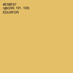 #E5BF67 - Equator Color Image