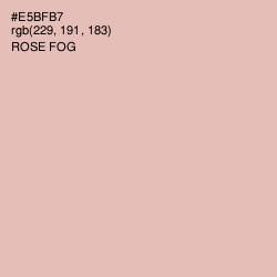 #E5BFB7 - Rose Fog Color Image