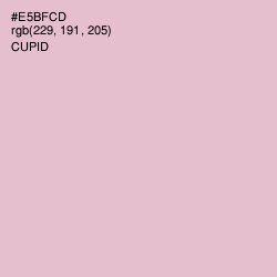 #E5BFCD - Cupid Color Image