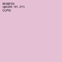 #E5BFD3 - Cupid Color Image