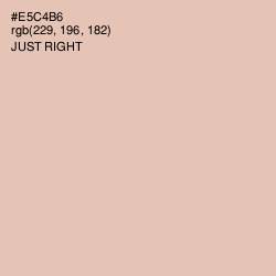 #E5C4B6 - Just Right Color Image