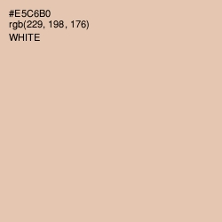 #E5C6B0 - Just Right Color Image