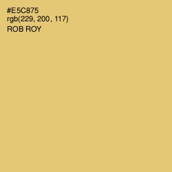 #E5C875 - Rob Roy Color Image