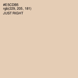 #E5CDB5 - Just Right Color Image