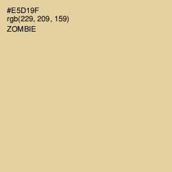 #E5D19F - Zombie Color Image