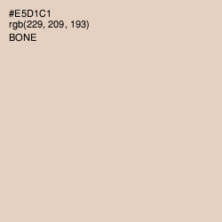 #E5D1C1 - Bone Color Image